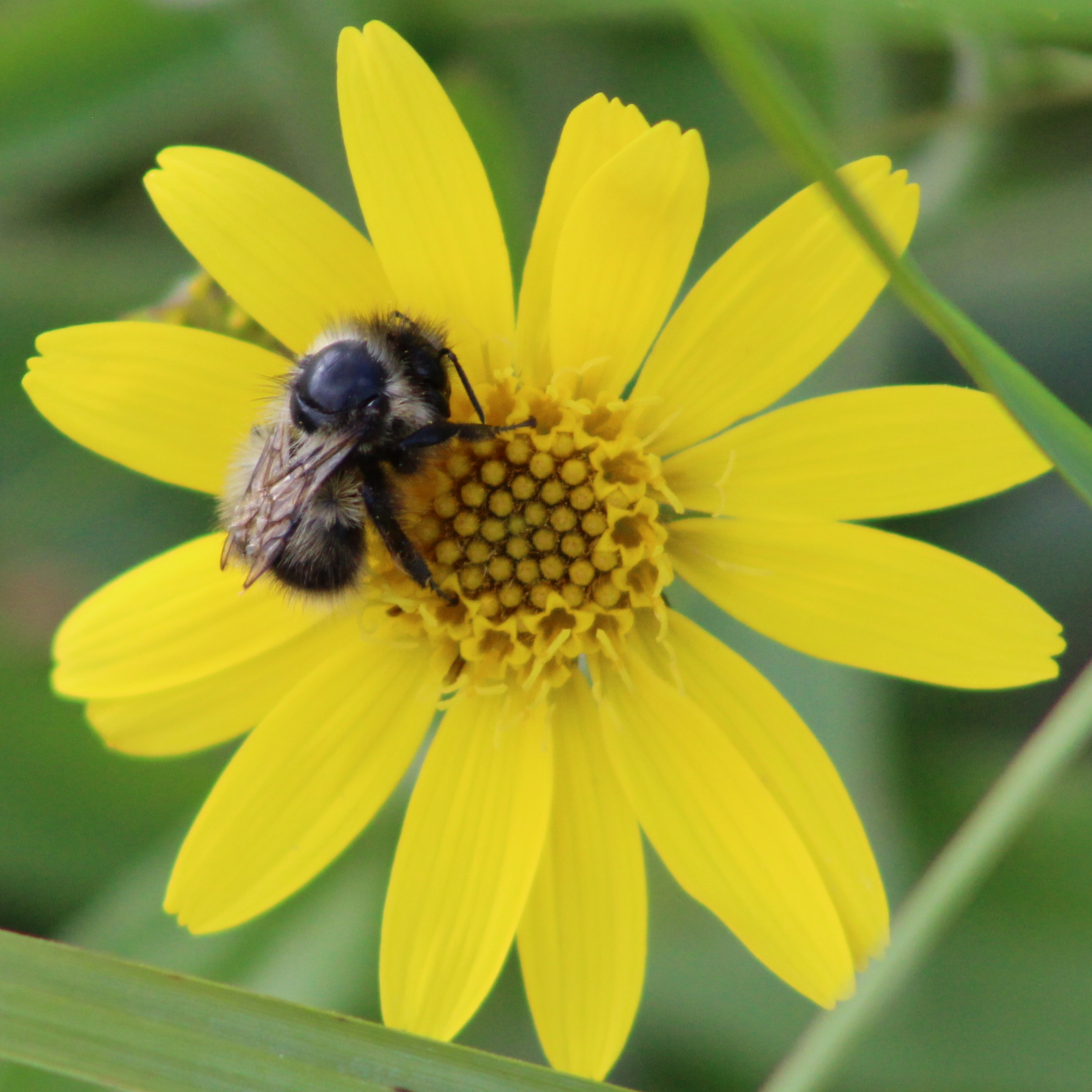 Lo’s Life Adventures