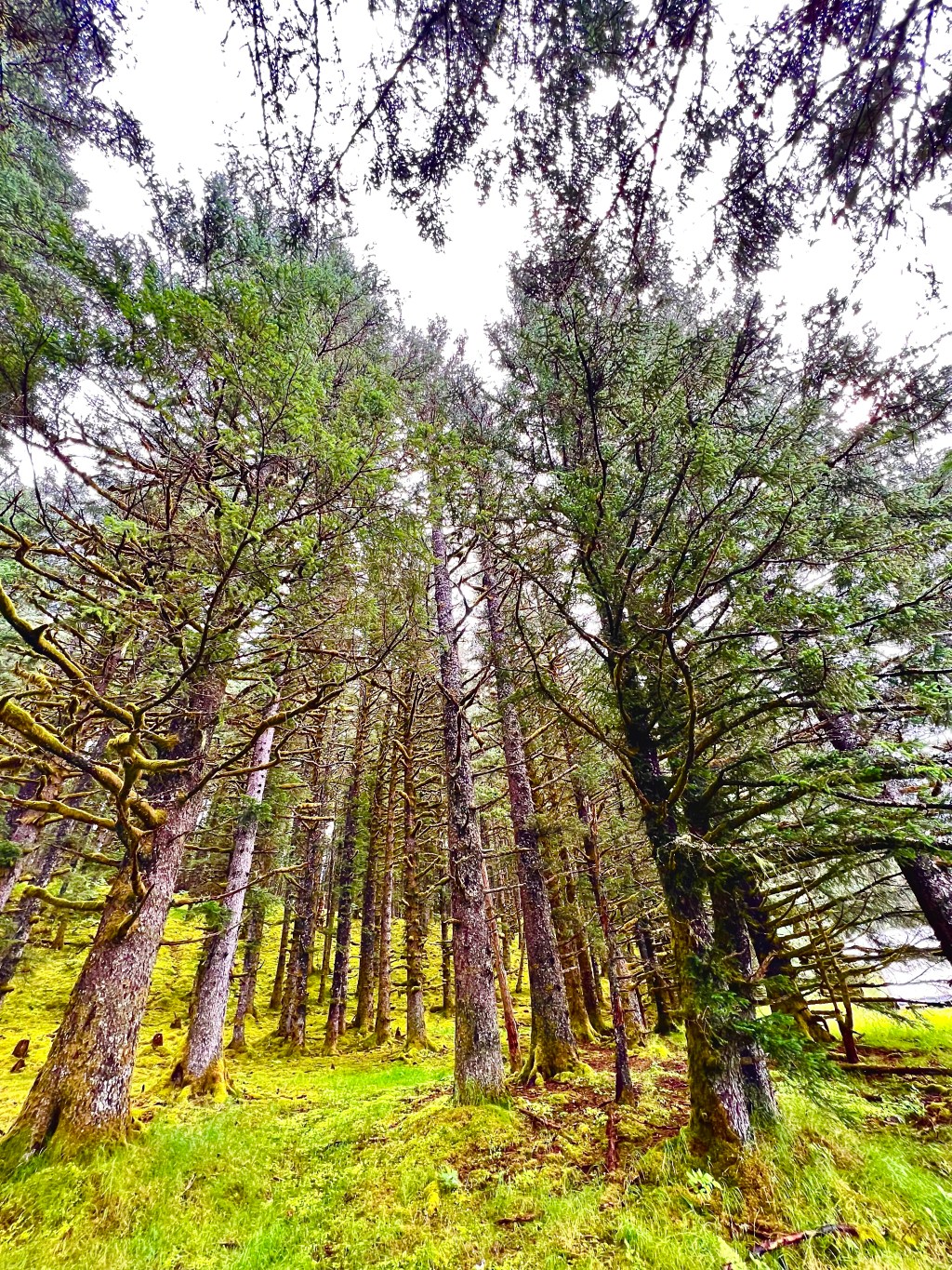 Weekend Out in the “Wilderness”